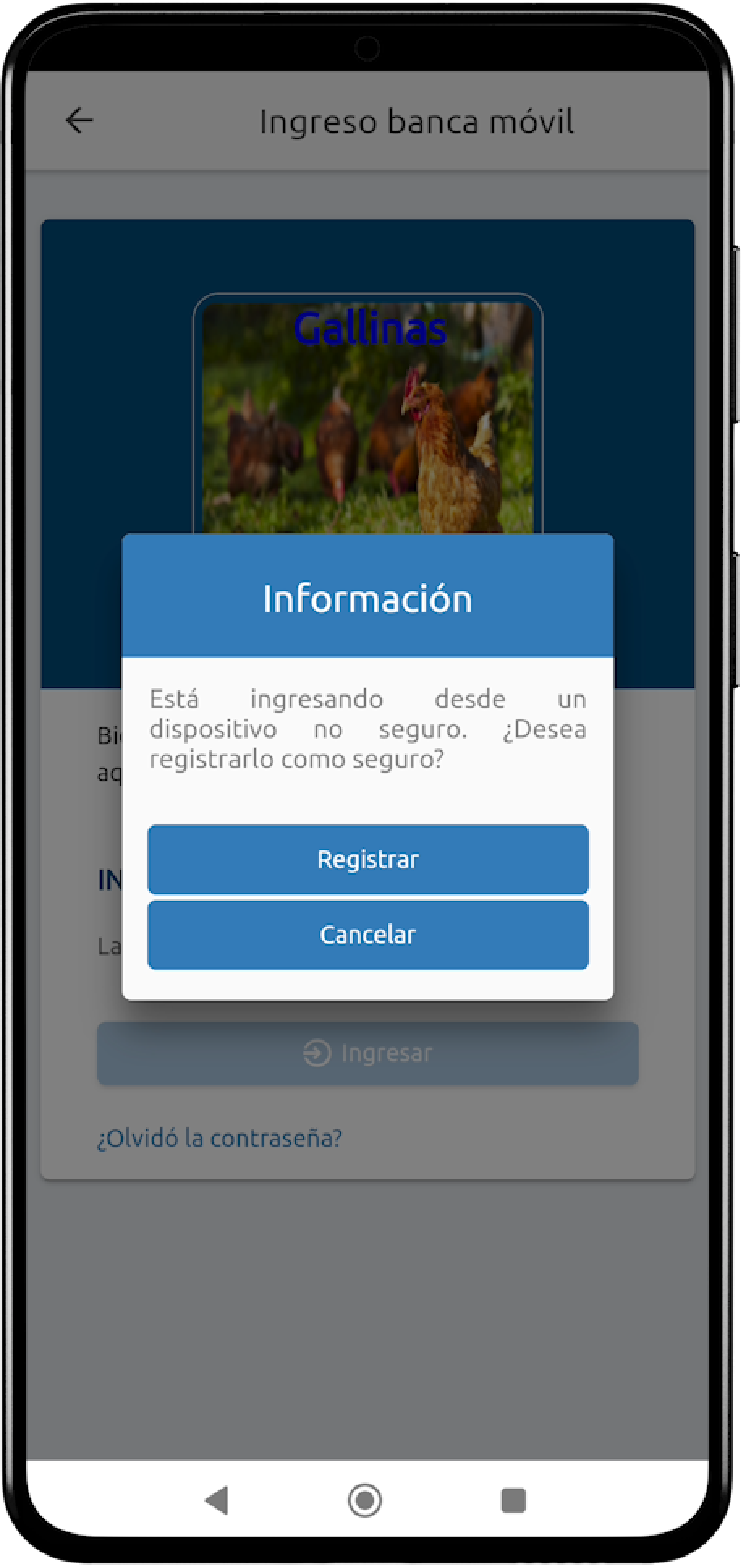 Mesa de trabajo 1 copia 10@2x